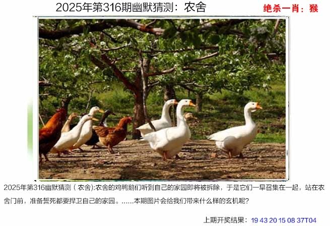 316期幽默猜测[图]