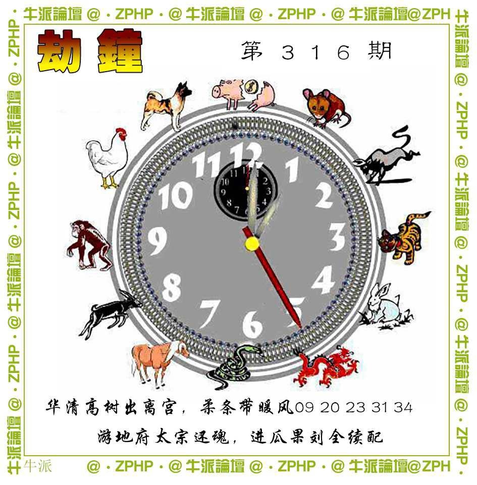 316期牛派系列4[图]