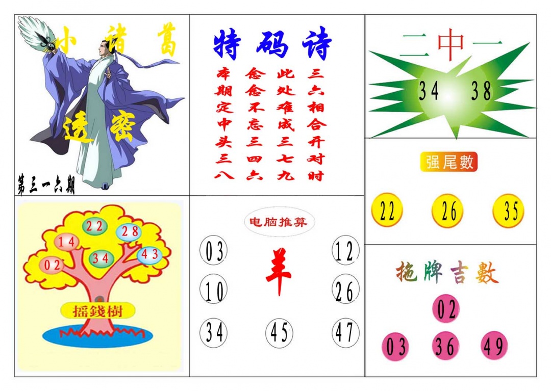 316期小诸葛[图]