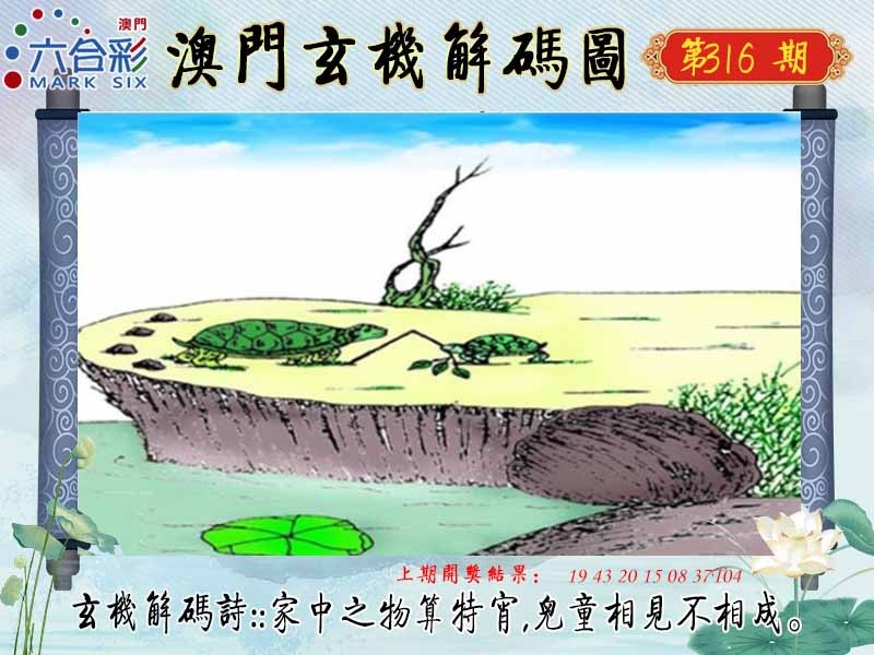 316期玄机解码图[图]