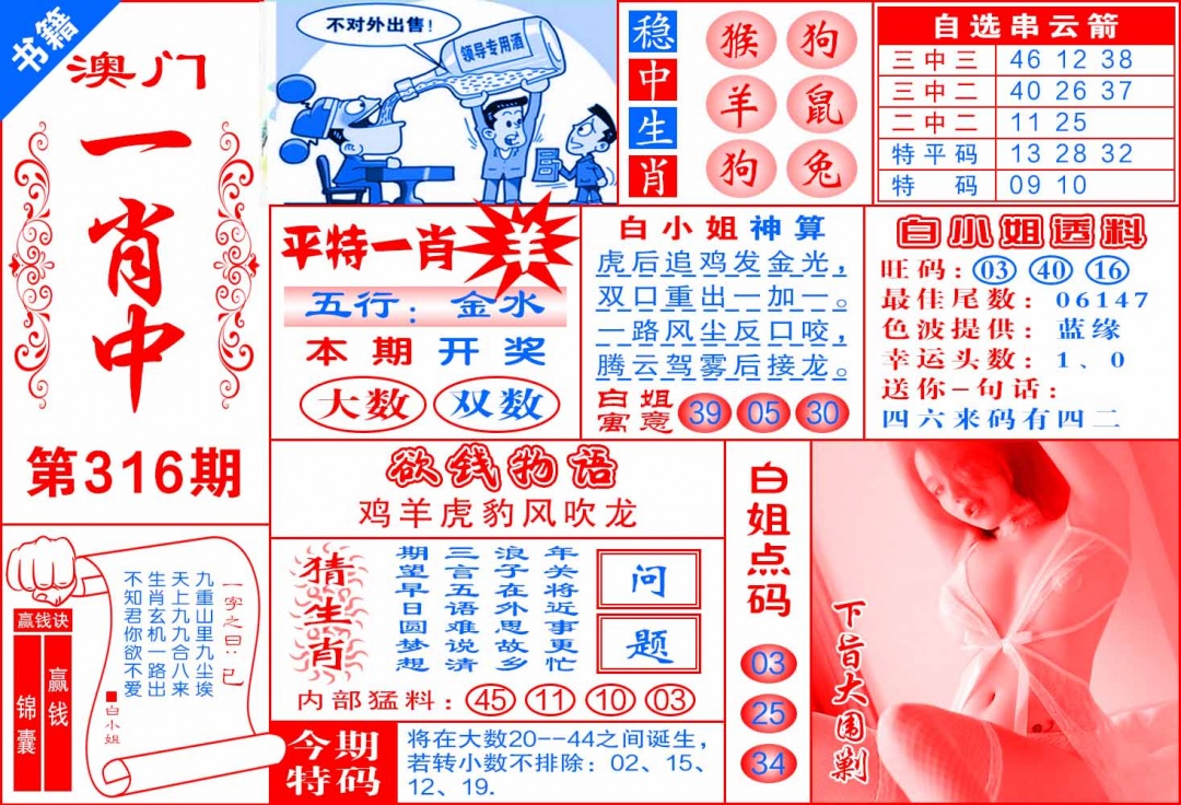 316期澳门锦囊宝典[图]