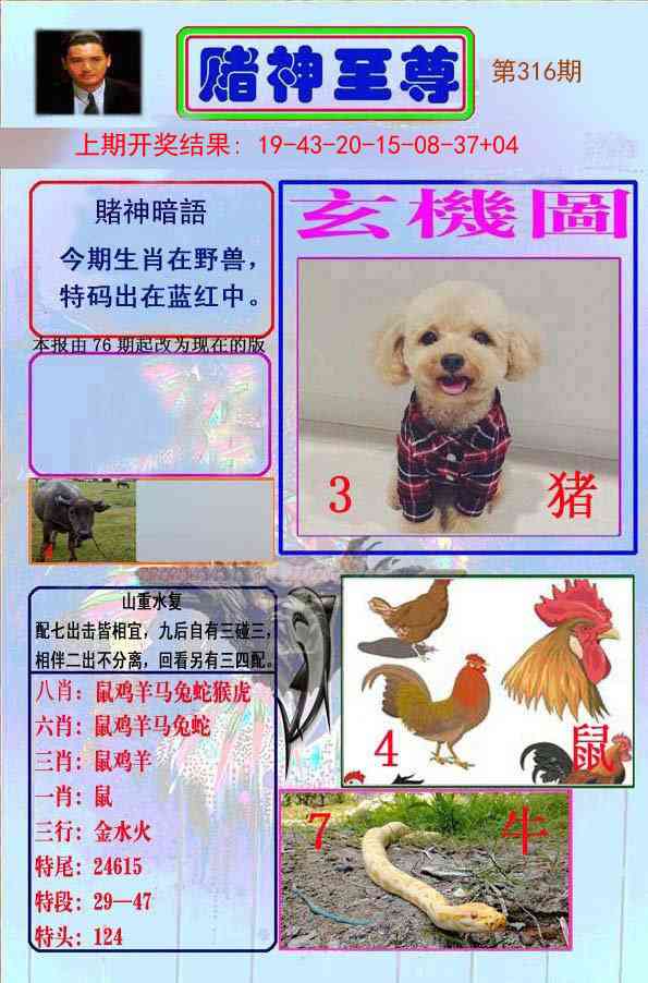 316期赌神至尊[图]