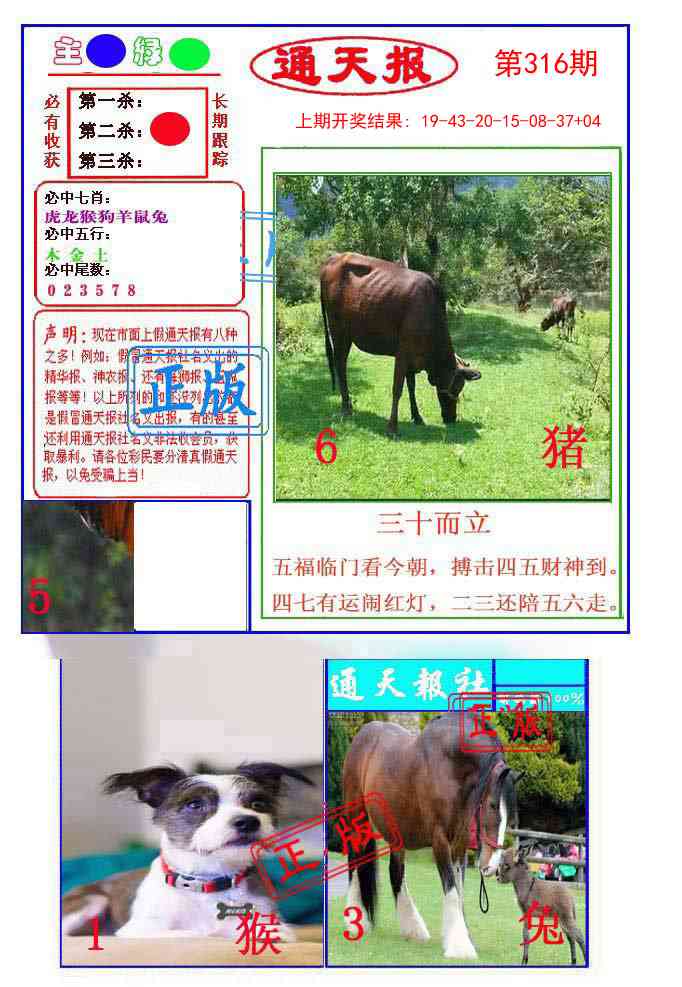 316期通天杀波图1[图]