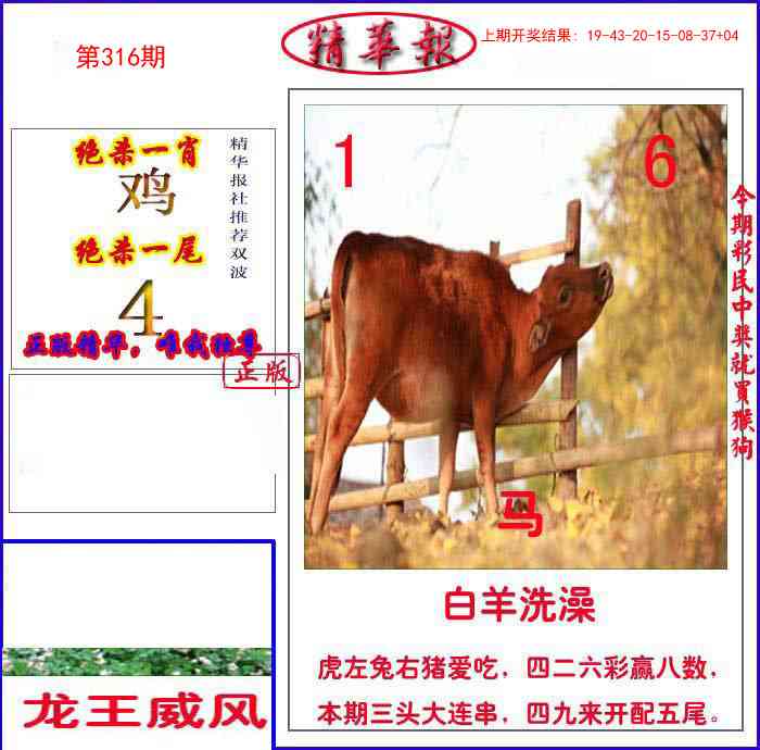 316期新精华报报[图]