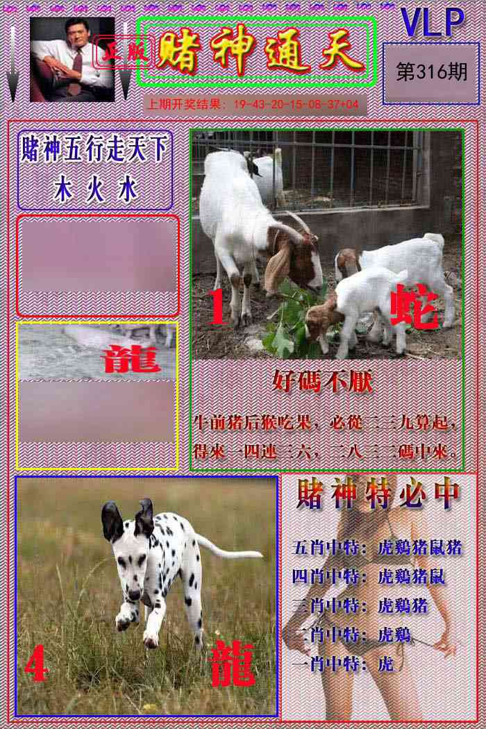 316期赌神通天报[图]