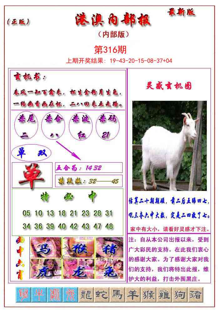 316期港澳报[图]