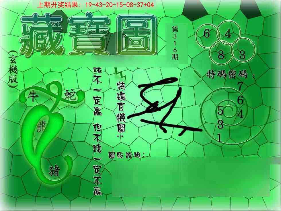 316期九龍玄机报[图]