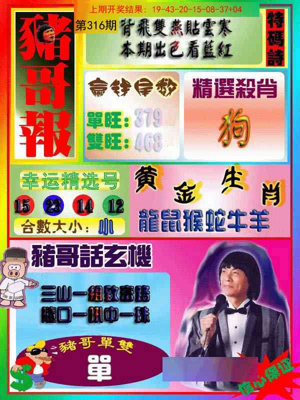 316期猪哥报[图]