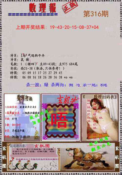 316期数理报[图]