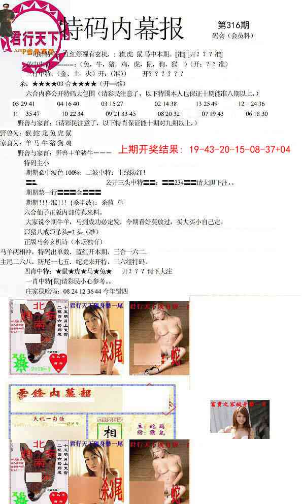 316期特码内幕报[图]