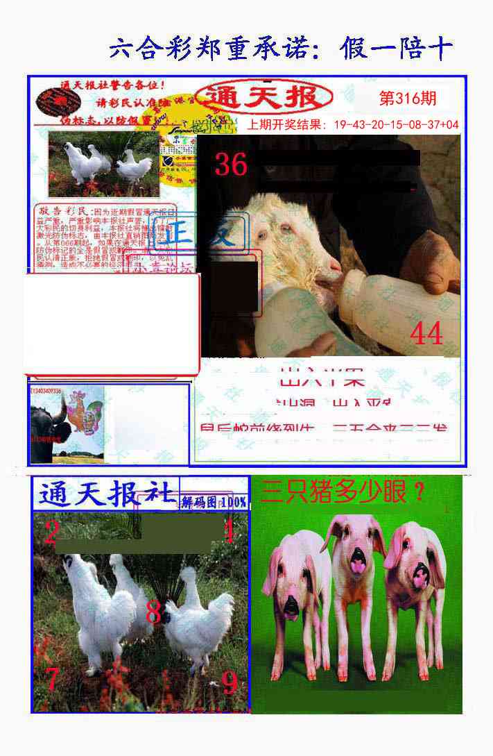 316期假一陪十通天报[图]