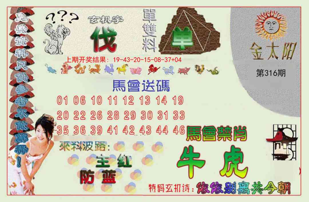 316期金太阳[图]