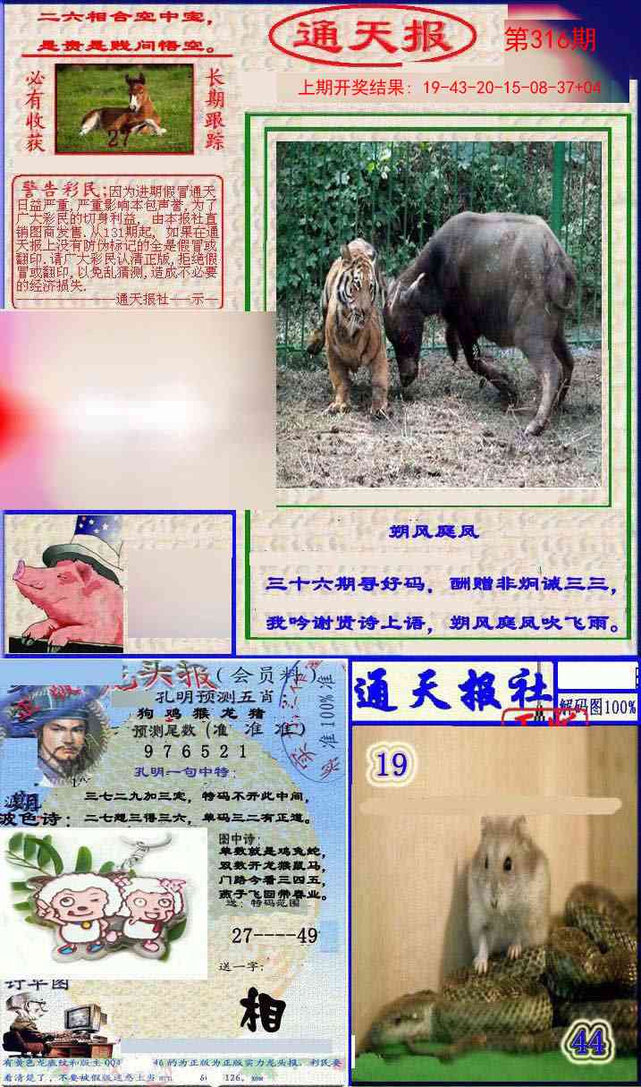 316期实力通天报[图]
