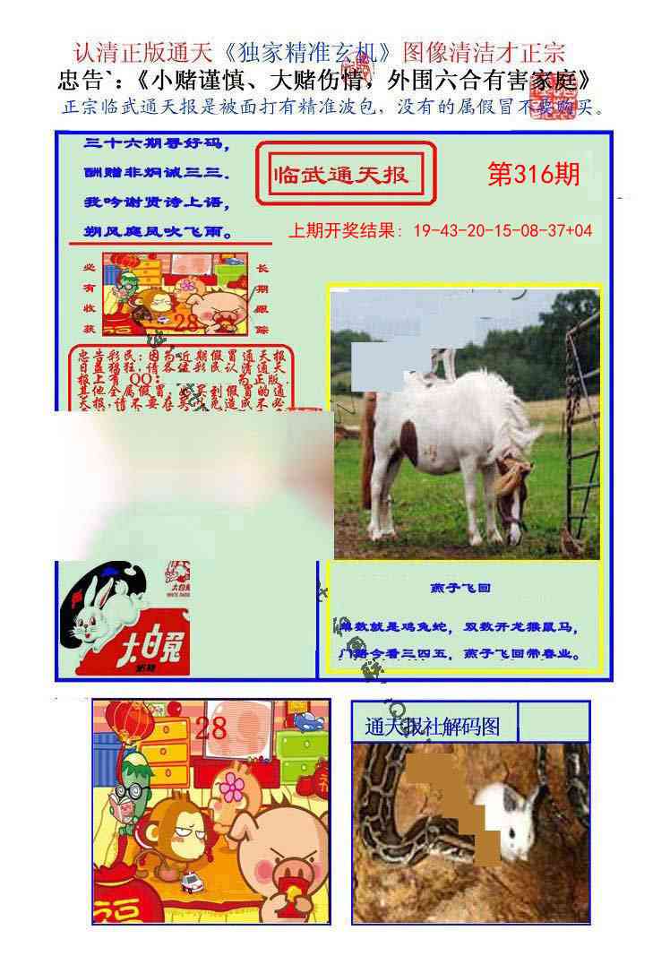 316期临武通天报[图]