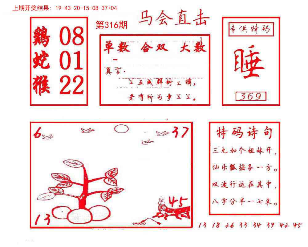 316期马会直击[图]